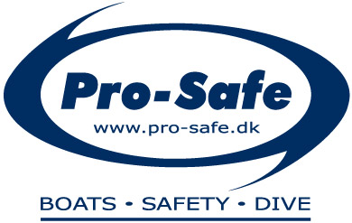 Pro-Safe logo